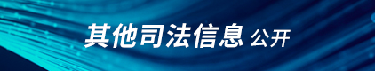 其他司法信息公开